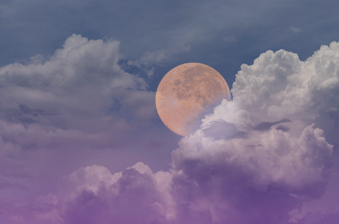 Moon Rituals Moon Rituals